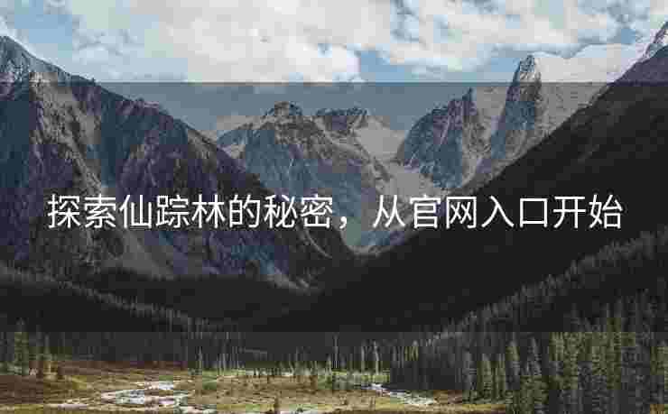 探索仙踪林的秘密，从官网入口开始