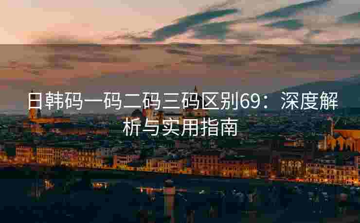 日韩码一码二码三码区别69：深度解析与实用指南