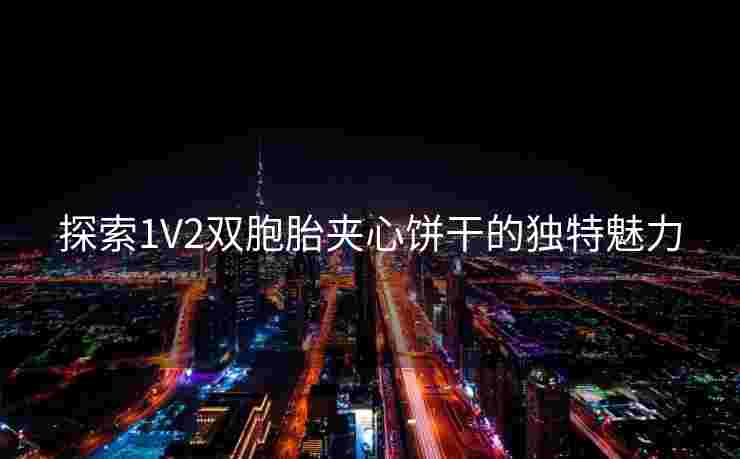 探索1V2双胞胎夹心饼干的独特魅力