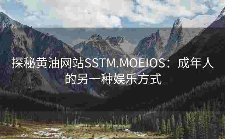 探秘黄油网站SSTM.MOEIOS：成年人的另一种娱乐方式