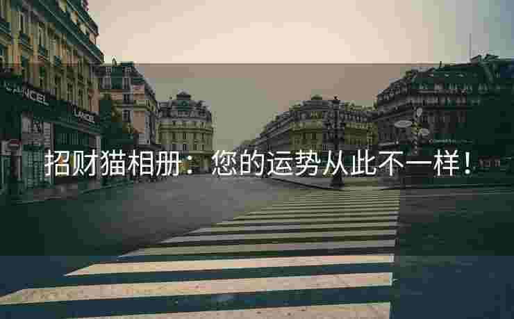 招财猫相册：您的运势从此不一样！