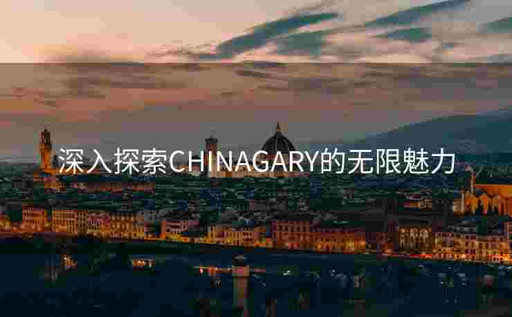 深入探索CHINAGARY的无限魅力