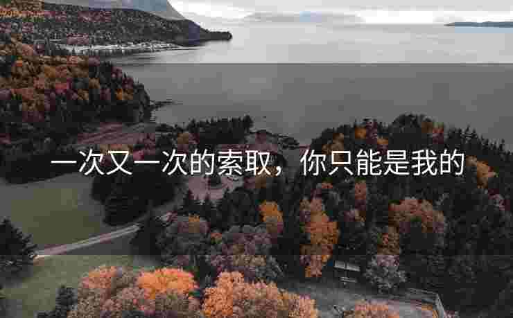 一次又一次的索取，你只能是我的
