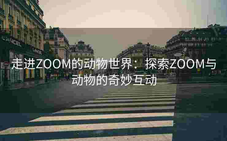 走进ZOOM的动物世界：探索ZOOM与动物的奇妙互动